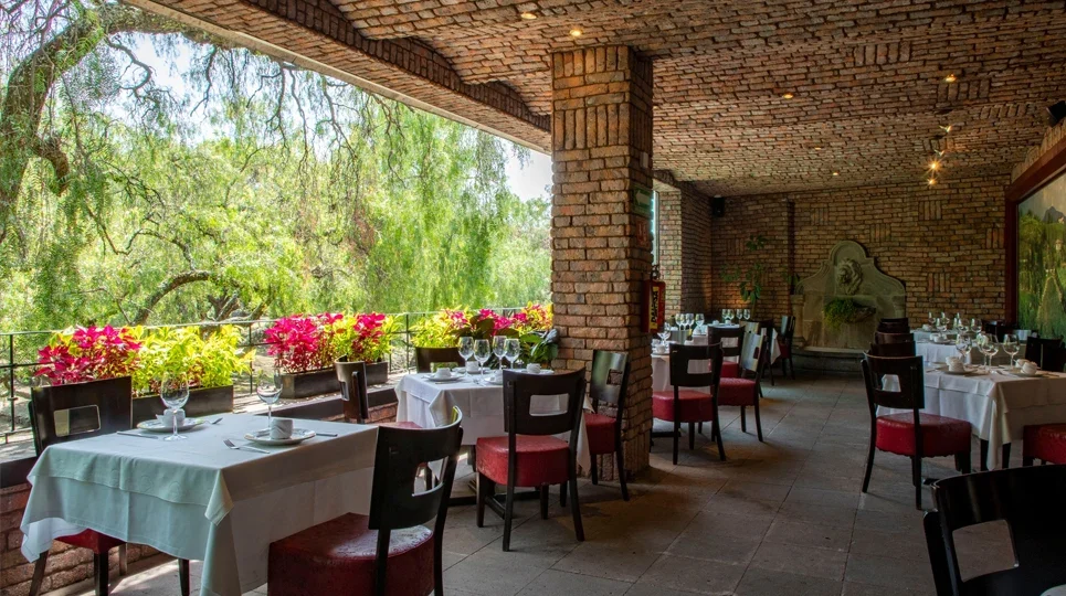 Lucca Pedregal