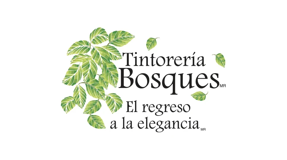 Tintorería Bosques